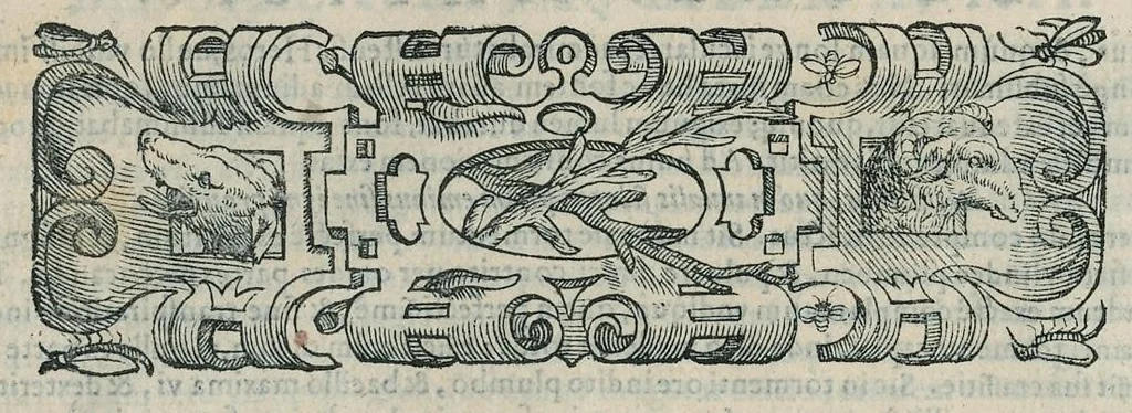 An illustration from Io. Bapt. Portae Neapolitani Magiae natvralis libri XX, 1589, leaf 307