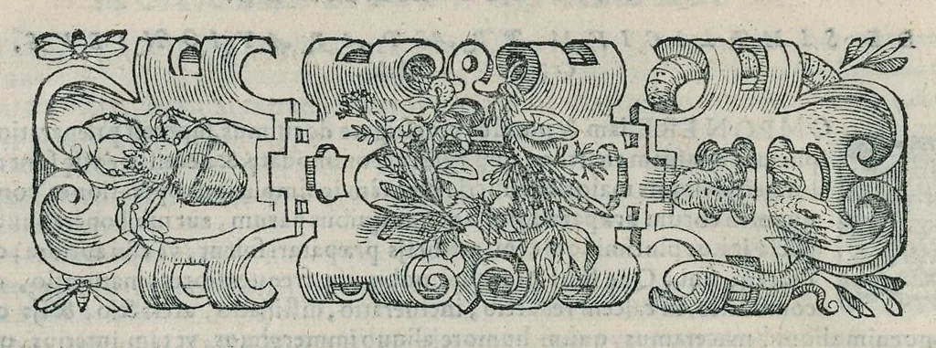 An illustration from Io. Bapt. Portae Neapolitani Magiae natvralis libri XX, 1589, leaf 41
