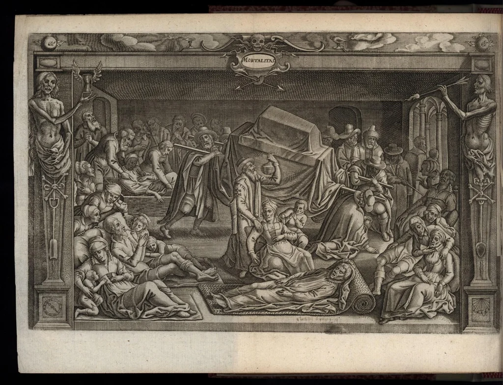 An illustration from Beschrijvinge der stad Leyden : inhoudende 't begin, den voortgang, ende den wasdom der selver : de stichtinghe van der kercken, cloosteren, gasthuysen, ende andere publijcque gestichten, &c : desgelijct de oprechtinge van de Academie, eñ de Collegien Theol. : mitsgader verhael van alle de belegeringen ..., 1614, leaf 441