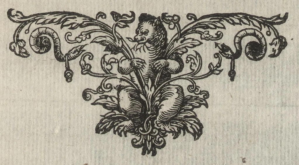 An illustration from Beschrijvinge der stadt Leyden : inhoudende 't begin, den voortgang, ende den wasdom der selver ... : in desen tweeden druck, boven vele vermeerderingen, vergroot met een derde deel, inhoudende den staet ende regeringe der stad Leyden ..., 1641, leaf 618
