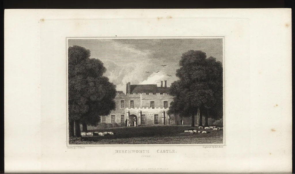An illustration from Views of the seats of noblemen and gentlemen, in England, Wales, Scotland, and Ireland, 1820, leaf 245