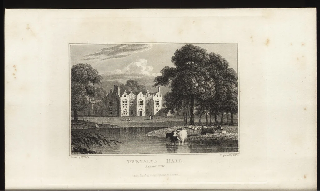 An illustration from Views of the seats of noblemen and gentlemen, in England, Wales, Scotland, and Ireland, 1820, leaf 301