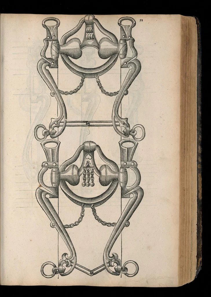 An illustration from Gründtlicher Bericht von allem was zu der Reutterei gehörig, und einem Cavallier davon .., 1609, leaf 442