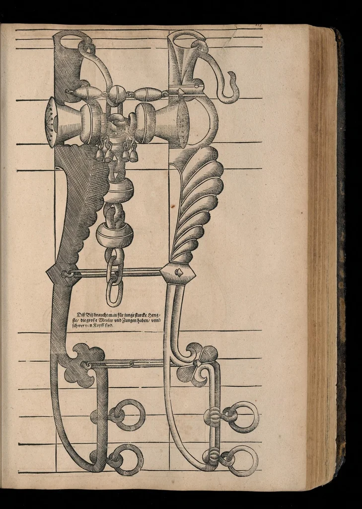 An illustration from Gründtlicher Bericht von allem was zu der Reutterei gehörig, und einem Cavallier davon .., 1609, leaf 466