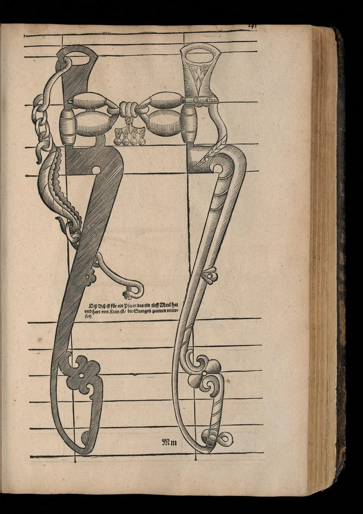 An illustration from Gründtlicher Bericht von allem was zu der Reutterei gehörig, und einem Cavallier davon .., 1609, leaf 492