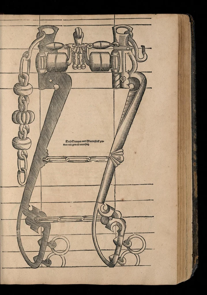 An illustration from Gründtlicher Bericht von allem was zu der Reutterei gehörig, und einem Cavallier davon .., 1609, leaf 538