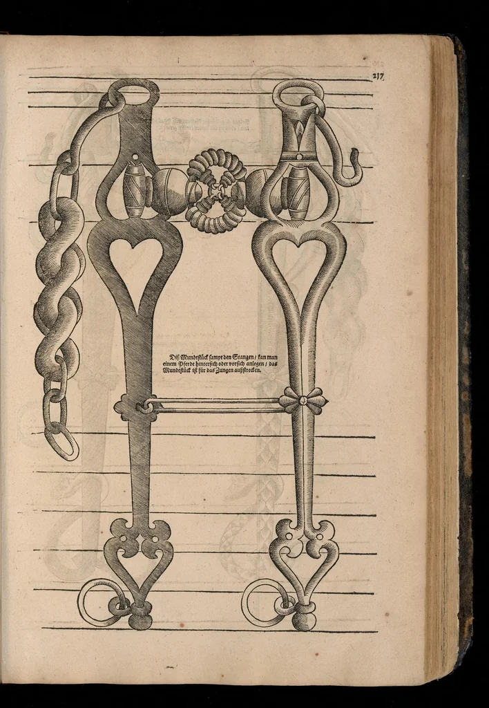An illustration from Gründtlicher Bericht von allem was zu der Reutterei gehörig, und einem Cavallier davon .., 1609, leaf 564