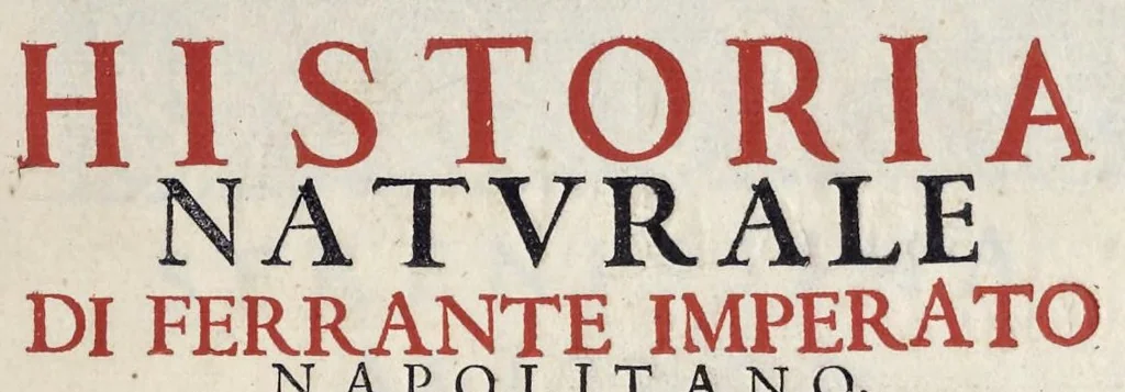 An illustration from Historia natvrale, 1672, leaf 4