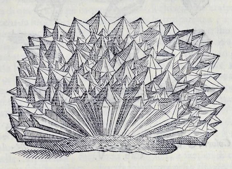 An illustration from Historia natvrale, 1672, leaf 574