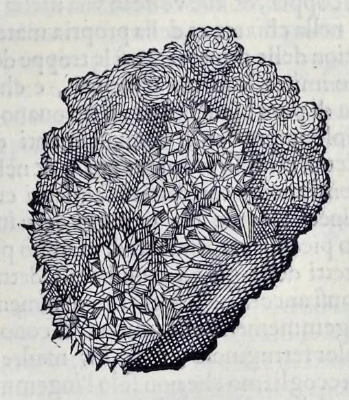 An illustration from Historia natvrale, 1672, leaf 574