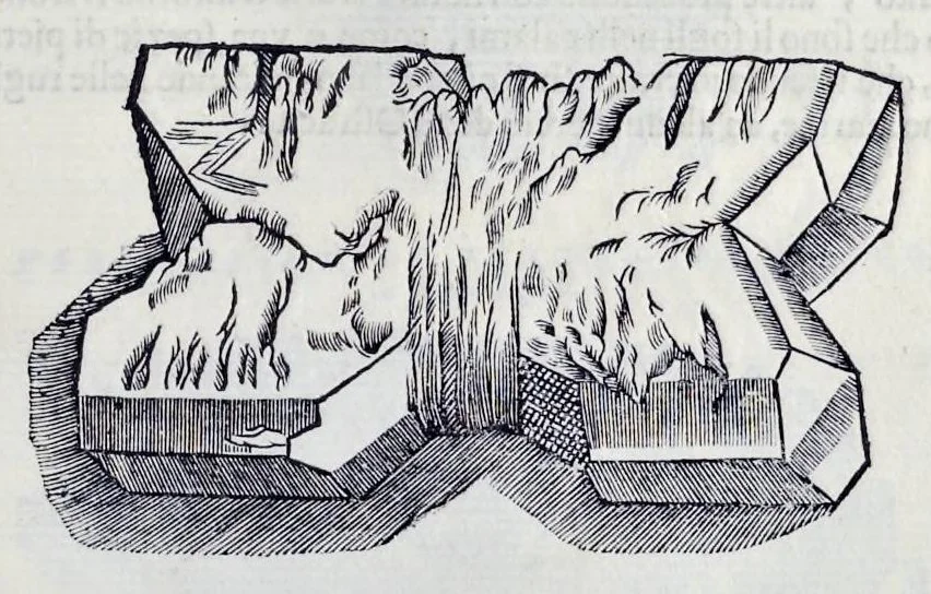 An illustration from Historia natvrale, 1672, leaf 578