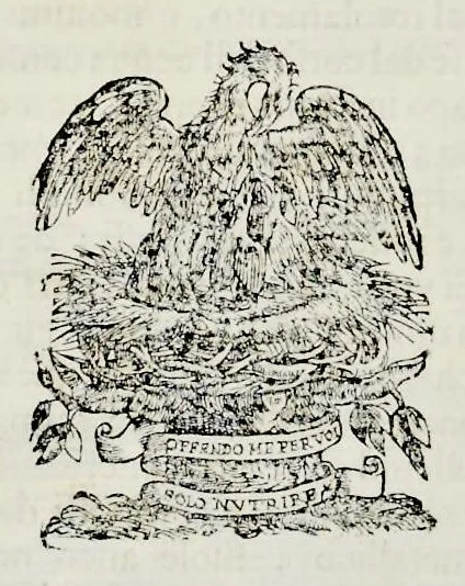 An illustration from Historia natvrale, 1672, leaf 601