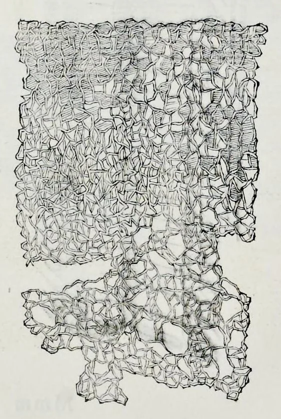 An illustration from Historia natvrale, 1672, leaf 701