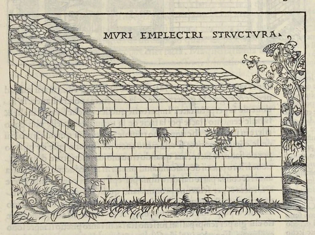 An illustration from Di Lucio Vitruuio Pollione De architectura libri dece : traducti de latino in vulgare, affigurati, cõmentati, & con mirando ordine insigniti: per il quale facilmente potrai trouare la multitudine de li abstrusi & reconditi vocabuli a li soi loci & in epsa tabula con summo studio expositi & enucleati ad immensa utilitate de ciascuno studioso & beniuolo di epsa opera, 1521, leaf 96