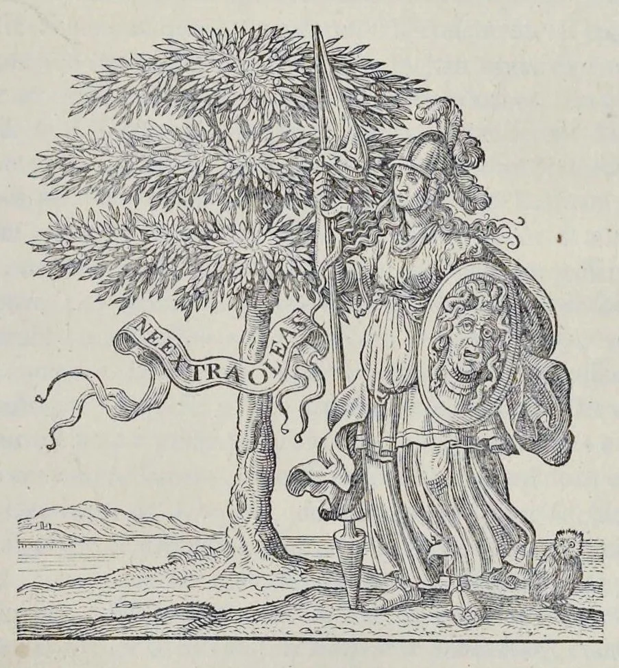 An illustration from L'architecture militaire moderne, ou, Fortification : confirmée par diverses histoires tant anciennes que nouvelles, & enrichie des figures des principales forteresses qui sont en l'Europe, 1648, leaf 716