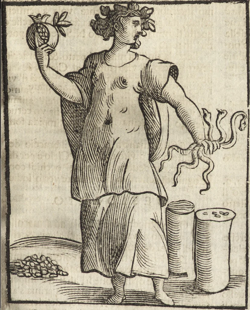 An illustration from Iconologia di Cesare Ripa perugino, caualier de' santi Mauritio & Lazaro. Divisa in tre libri, ne i quali si esprimono varie imagini di virtù, vitij, passioni humane, affetti, atti, discipline, humori, elementi, corpi celesti, prouincie d'Italia, fiumi, & altre materie infinite vtili ad ogni stato di persone. Ampliata dal sig. cav. Gio. Zaratino Castellini romano in questa vltima editione di imagini & discorsi, con indici copiosi, & ricorretta, 1669, leaf 204
