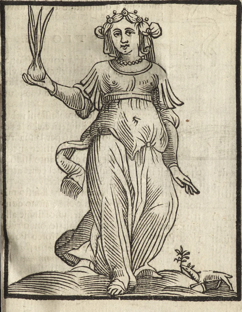 An illustration from Iconologia di Cesare Ripa perugino, caualier de' santi Mauritio & Lazaro. Divisa in tre libri, ne i quali si esprimono varie imagini di virtù, vitij, passioni humane, affetti, atti, discipline, humori, elementi, corpi celesti, prouincie d'Italia, fiumi, & altre materie infinite vtili ad ogni stato di persone. Ampliata dal sig. cav. Gio. Zaratino Castellini romano in questa vltima editione di imagini & discorsi, con indici copiosi, & ricorretta, 1669, leaf 208