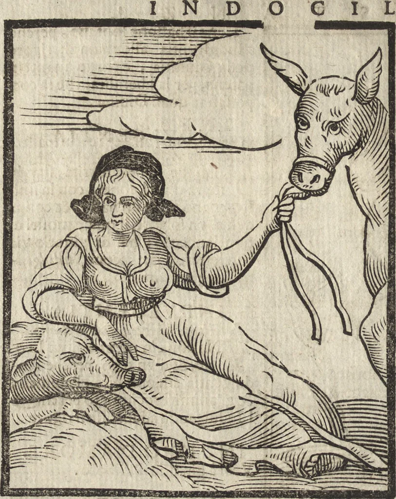 An illustration from Iconologia di Cesare Ripa perugino, caualier de' santi Mauritio & Lazaro. Divisa in tre libri, ne i quali si esprimono varie imagini di virtù, vitij, passioni humane, affetti, atti, discipline, humori, elementi, corpi celesti, prouincie d'Italia, fiumi, & altre materie infinite vtili ad ogni stato di persone. Ampliata dal sig. cav. Gio. Zaratino Castellini romano in questa vltima editione di imagini & discorsi, con indici copiosi, & ricorretta, 1669, leaf 339