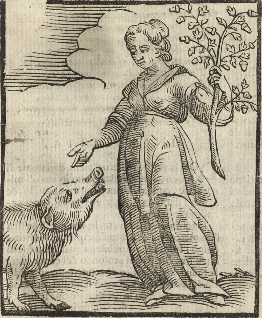 An illustration from Iconologia di Cesare Ripa perugino, caualier de' santi Mauritio & Lazaro. Divisa in tre libri, ne i quali si esprimono varie imagini di virtù, vitij, passioni humane, affetti, atti, discipline, humori, elementi, corpi celesti, prouincie d'Italia, fiumi, & altre materie infinite vtili ad ogni stato di persone. Ampliata dal sig. cav. Gio. Zaratino Castellini romano in questa vltima editione di imagini & discorsi, con indici copiosi, & ricorretta, 1669, leaf 344