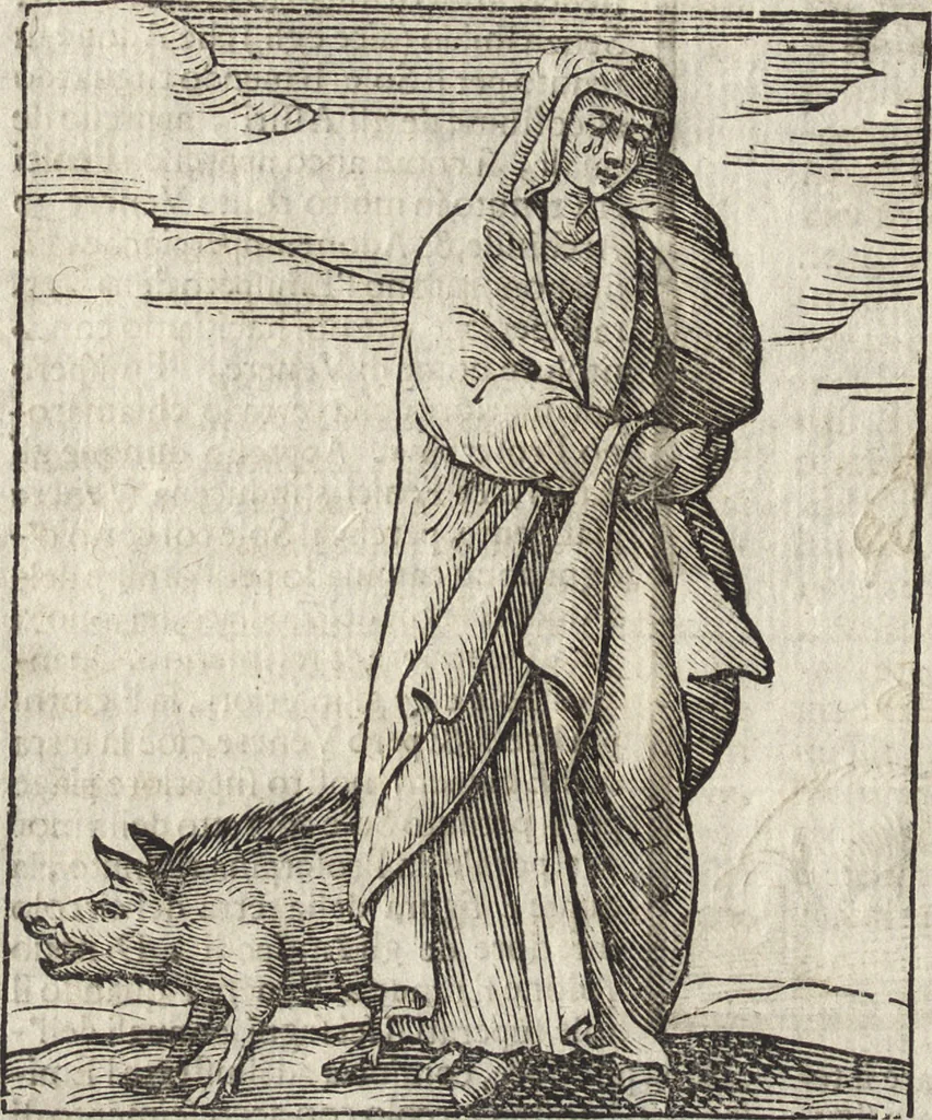 An illustration from Iconologia di Cesare Ripa perugino, caualier de' santi Mauritio & Lazaro. Divisa in tre libri, ne i quali si esprimono varie imagini di virtù, vitij, passioni humane, affetti, atti, discipline, humori, elementi, corpi celesti, prouincie d'Italia, fiumi, & altre materie infinite vtili ad ogni stato di persone. Ampliata dal sig. cav. Gio. Zaratino Castellini romano in questa vltima editione di imagini & discorsi, con indici copiosi, & ricorretta, 1669, leaf 355