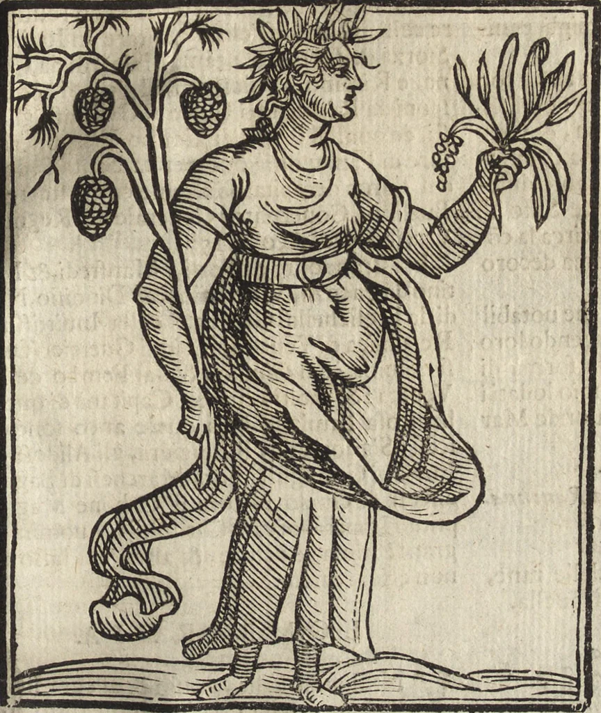 An illustration from Iconologia di Cesare Ripa perugino, caualier de' santi Mauritio & Lazaro. Divisa in tre libri, ne i quali si esprimono varie imagini di virtù, vitij, passioni humane, affetti, atti, discipline, humori, elementi, corpi celesti, prouincie d'Italia, fiumi, & altre materie infinite vtili ad ogni stato di persone. Ampliata dal sig. cav. Gio. Zaratino Castellini romano in questa vltima editione di imagini & discorsi, con indici copiosi, & ricorretta, 1669, leaf 394