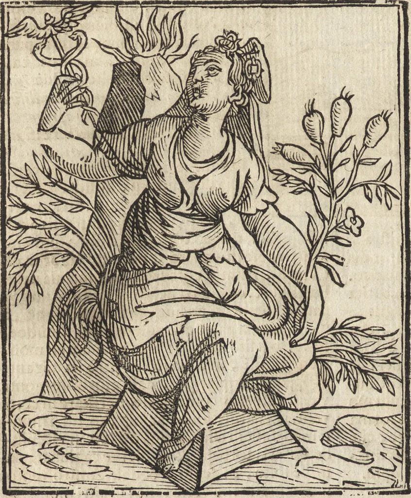 An illustration from Iconologia di Cesare Ripa perugino, caualier de' santi Mauritio & Lazaro. Divisa in tre libri, ne i quali si esprimono varie imagini di virtù, vitij, passioni humane, affetti, atti, discipline, humori, elementi, corpi celesti, prouincie d'Italia, fiumi, & altre materie infinite vtili ad ogni stato di persone. Ampliata dal sig. cav. Gio. Zaratino Castellini romano in questa vltima editione di imagini & discorsi, con indici copiosi, & ricorretta, 1669, leaf 421