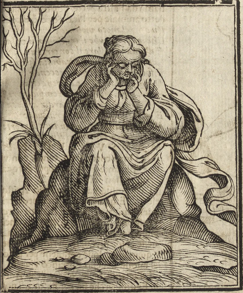 An illustration from Iconologia di Cesare Ripa perugino, caualier de' santi Mauritio & Lazaro. Divisa in tre libri, ne i quali si esprimono varie imagini di virtù, vitij, passioni humane, affetti, atti, discipline, humori, elementi, corpi celesti, prouincie d'Italia, fiumi, & altre materie infinite vtili ad ogni stato di persone. Ampliata dal sig. cav. Gio. Zaratino Castellini romano in questa vltima editione di imagini & discorsi, con indici copiosi, & ricorretta, 1669, leaf 446