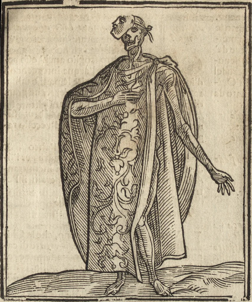 An illustration from Iconologia di Cesare Ripa perugino, caualier de' santi Mauritio & Lazaro. Divisa in tre libri, ne i quali si esprimono varie imagini di virtù, vitij, passioni humane, affetti, atti, discipline, humori, elementi, corpi celesti, prouincie d'Italia, fiumi, & altre materie infinite vtili ad ogni stato di persone. Ampliata dal sig. cav. Gio. Zaratino Castellini romano in questa vltima editione di imagini & discorsi, con indici copiosi, & ricorretta, 1669, leaf 484