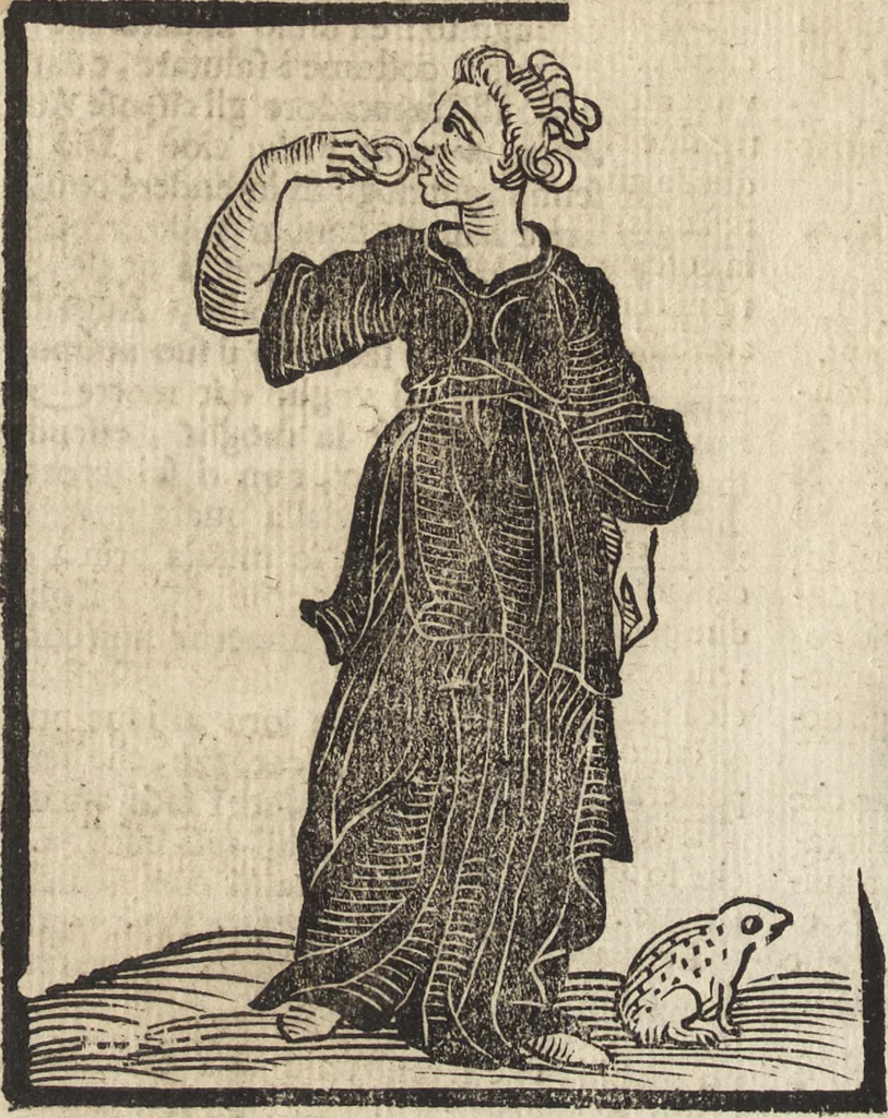 An illustration from Iconologia di Cesare Ripa perugino, caualier de' santi Mauritio & Lazaro. Divisa in tre libri, ne i quali si esprimono varie imagini di virtù, vitij, passioni humane, affetti, atti, discipline, humori, elementi, corpi celesti, prouincie d'Italia, fiumi, & altre materie infinite vtili ad ogni stato di persone. Ampliata dal sig. cav. Gio. Zaratino Castellini romano in questa vltima editione di imagini & discorsi, con indici copiosi, & ricorretta, 1669, leaf 621