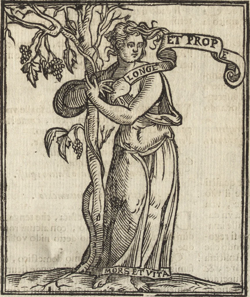 An illustration from Iconologia di Cesare Ripa perugino, caualier de' santi Mauritio & Lazaro. Divisa in tre libri, ne i quali si esprimono varie imagini di virtù, vitij, passioni humane, affetti, atti, discipline, humori, elementi, corpi celesti, prouincie d'Italia, fiumi, & altre materie infinite vtili ad ogni stato di persone. Ampliata dal sig. cav. Gio. Zaratino Castellini romano in questa vltima editione di imagini & discorsi, con indici copiosi, & ricorretta, 1669, leaf 84