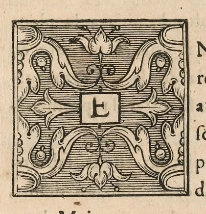 An illustration from Le jardin de plaisir : contenant plusieurs desseins de jardinage tant parterres en broderie, compartiments de gazon, que bosquets & autres : avec vn abbregé de l'agriculture, touchant ce qui peut estre le plus vtile & necessaire a la construction & accompagnement dudict jardin de plaisir : composé & divisé en onze chapitres, 1651, leaf 14