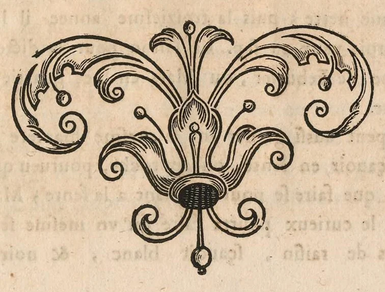 An illustration from Le jardin de plaisir : contenant plusieurs desseins de jardinage tant parterres en broderie, compartiments de gazon, que bosquets & autres : avec vn abbregé de l'agriculture, touchant ce qui peut estre le plus vtile & necessaire a la construction & accompagnement dudict jardin de plaisir : composé & divisé en onze chapitres, 1651, leaf 26