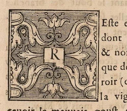 An illustration from Le jardin de plaisir : contenant plusieurs desseins de jardinage tant parterres en broderie, compartiments de gazon, que bosquets & autres : avec vn abbregé de l'agriculture, touchant ce qui peut estre le plus vtile & necessaire a la construction & accompagnement dudict jardin de plaisir : composé & divisé en onze chapitres, 1651, leaf 27