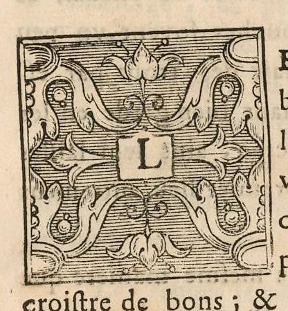 An illustration from Le jardin de plaisir : contenant plusieurs desseins de jardinage tant parterres en broderie, compartiments de gazon, que bosquets & autres : avec vn abbregé de l'agriculture, touchant ce qui peut estre le plus vtile & necessaire a la construction & accompagnement dudict jardin de plaisir : composé & divisé en onze chapitres, 1651, leaf 32
