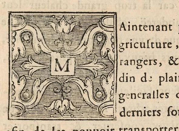 An illustration from Le jardin de plaisir : contenant plusieurs desseins de jardinage tant parterres en broderie, compartiments de gazon, que bosquets & autres : avec vn abbregé de l'agriculture, touchant ce qui peut estre le plus vtile & necessaire a la construction & accompagnement dudict jardin de plaisir : composé & divisé en onze chapitres, 1651, leaf 42
