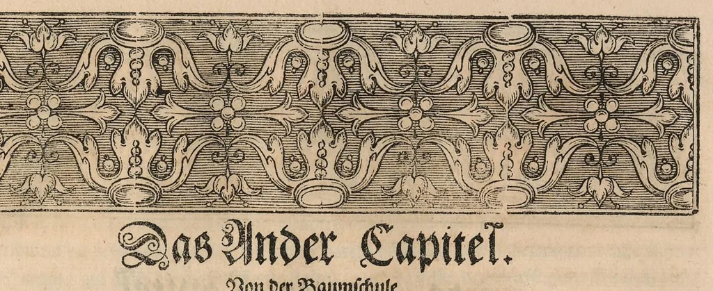 An illustration from Le jardin de plaisir : contenant plusieurs desseins de jardinage tant parterres en broderie, compartiments de gazon, que bosquets & autres : avec vn abbregé de l'agriculture, touchant ce qui peut estre le plus vtile & necessaire a la construction & accompagnement dudict jardin de plaisir : composé & divisé en onze chapitres, 1651, leaf 66