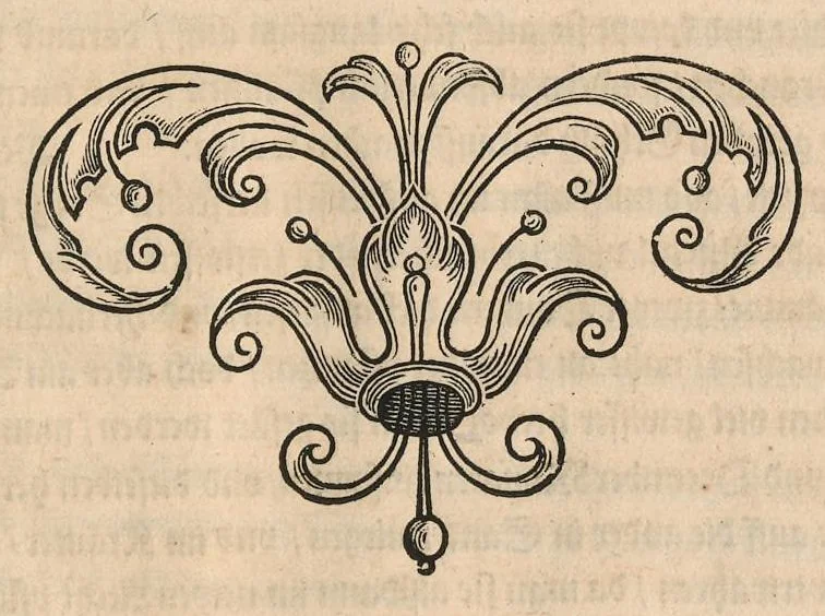 An illustration from Le jardin de plaisir : contenant plusieurs desseins de jardinage tant parterres en broderie, compartiments de gazon, que bosquets & autres : avec vn abbregé de l'agriculture, touchant ce qui peut estre le plus vtile & necessaire a la construction & accompagnement dudict jardin de plaisir : composé & divisé en onze chapitres, 1651, leaf 84