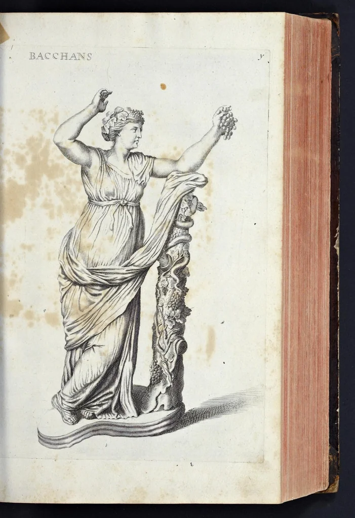 An illustration from L'Academia todesca della architectura, scultura & pittura, oder, Teutsche Academie der Edlen Bau- Bild- und Mahlerey-Künste : darinn enthalten ein gründlicher Unterricht von dieser dreyer Künste Eigenschaft, Lehr-Sätzen und Geheimnissen, von den Bau-Steinen und fünferley Bau-Arten, von den Statuen und ihrer Zugehör, von der Erfind- und Zeichnung ... neben aller Egyptischen, Griechischen, Römischen, Italiänischen, Hoch- und Nieder-Teutschen, auch anderer alten und neuen Virtuosen, Leben und fürnehmsten Kunst-Werken beschrieben : auch mit 38 Platten von der Architectur, 68 Alt-Römischen Statuen, ganz und halben Bildern, 74 Medaglionen, 180 Contrafäten durch die Hand der bästen heutigen Künstlere in Kupfer gezieret, 1675, leaf 162