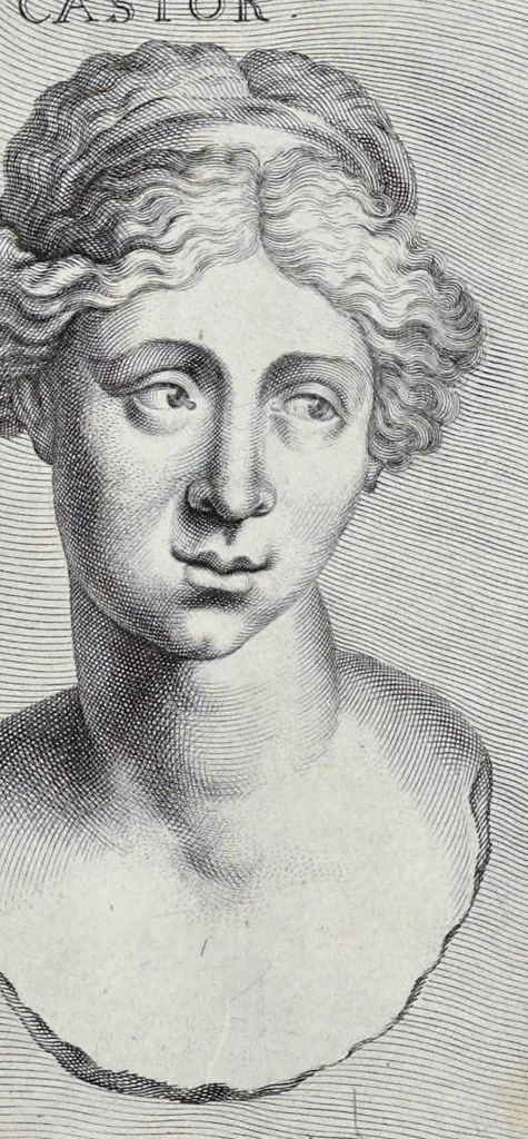 An illustration from L'Academia todesca della architectura, scultura & pittura, oder, Teutsche Academie der Edlen Bau- Bild- und Mahlerey-Künste : darinn enthalten ein gründlicher Unterricht von dieser dreyer Künste Eigenschaft, Lehr-Sätzen und Geheimnissen, von den Bau-Steinen und fünferley Bau-Arten, von den Statuen und ihrer Zugehör, von der Erfind- und Zeichnung ... neben aller Egyptischen, Griechischen, Römischen, Italiänischen, Hoch- und Nieder-Teutschen, auch anderer alten und neuen Virtuosen, Leben und fürnehmsten Kunst-Werken beschrieben : auch mit 38 Platten von der Architectur, 68 Alt-Römischen Statuen, ganz und halben Bildern, 74 Medaglionen, 180 Contrafäten durch die Hand der bästen heutigen Künstlere in Kupfer gezieret, 1675, leaf 198