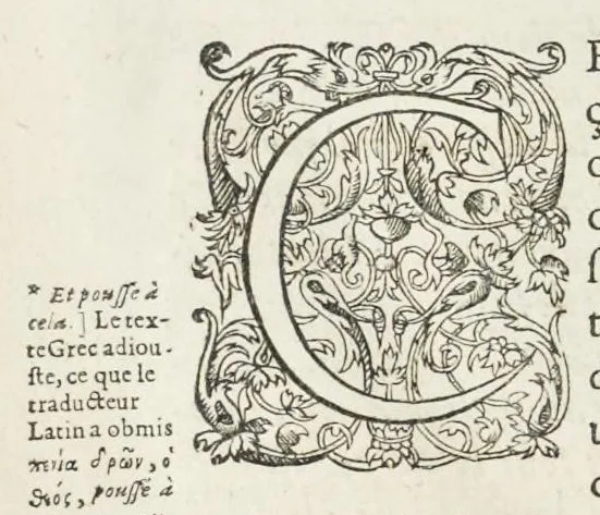An illustration from Les images ou tableaux de platte peinture des deux Philostrates sophistes grecs, et Les statues de Callistrate, 1637, leaf 235