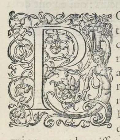 An illustration from Les images ou tableaux de platte peinture des deux Philostrates sophistes grecs, et Les statues de Callistrate, 1615, leaf 128