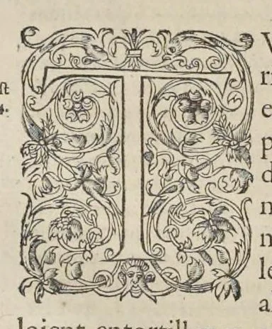 An illustration from Les images ou tableaux de platte peinture des deux Philostrates sophistes grecs, et Les statues de Callistrate, 1615, leaf 601