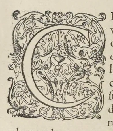 An illustration from Les images ou tableaux de platte peinture des deux Philostrates sophistes grecs, et Les statues de Callistrate, 1615, leaf 635