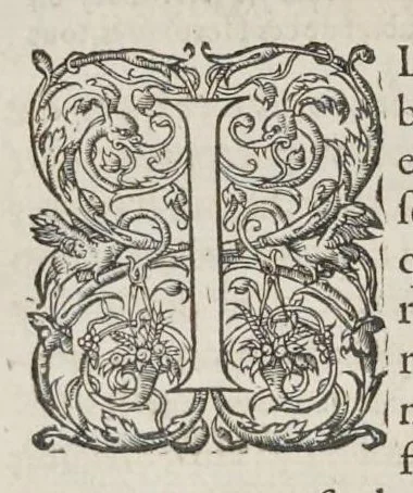An illustration from Les images ou tableaux de platte peinture des deux Philostrates sophistes grecs, et Les statues de Callistrate, 1615, leaf 791