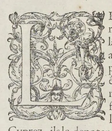 An illustration from Les images ou tableaux de platte peinture des deux Philostrates sophistes grecs, et Les statues de Callistrate, 1615, leaf 91