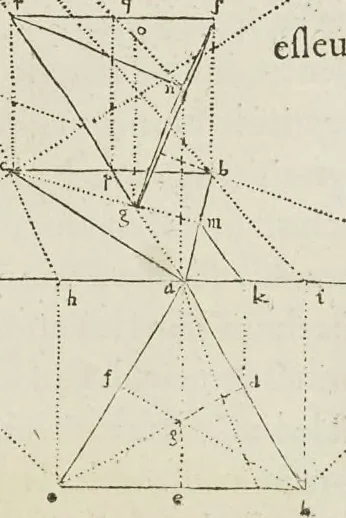 An illustration from Livre de perspectiue de Iehan Cousin, senonois, maistre painctre à Paris, 1560, leaf 114