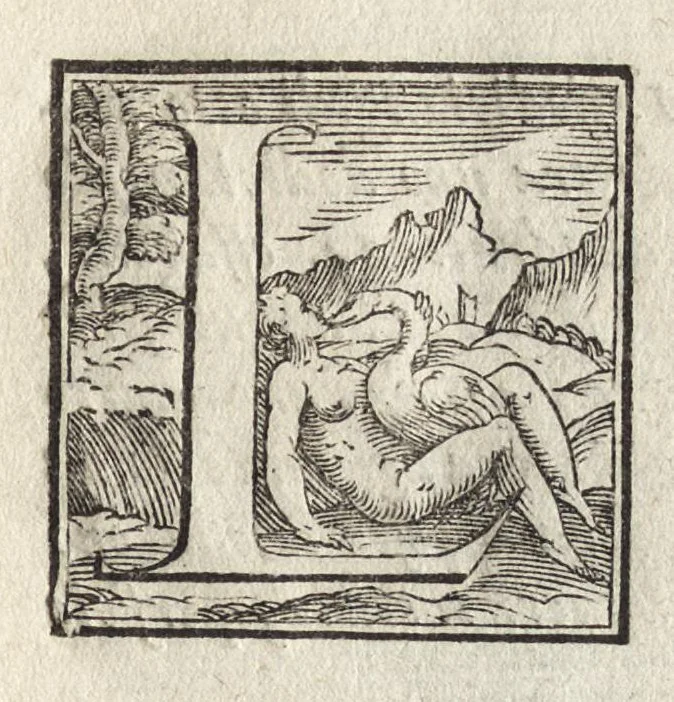 An illustration from La pratica della perspettiva : opera molto vtile a pittori, a scvltori, & ad architetti : con due tauole, una de' capitoli principali, l'altra delle cose piu notabili contenue nella presente opera, 1568, leaf 106