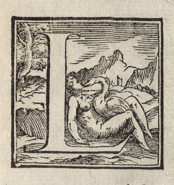 An illustration from La pratica della perspettiva : opera molto vtile a pittori, a scvltori, & ad architetti : con due tauole, una de' capitoli principali, l'altra delle cose piu notabili contenue nella presente opera, 1568, leaf 138