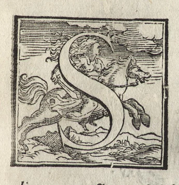 An illustration from La pratica della perspettiva : opera molto vtile a pittori, a scvltori, & ad architetti : con due tauole, una de' capitoli principali, l'altra delle cose piu notabili contenue nella presente opera, 1568, leaf 190
