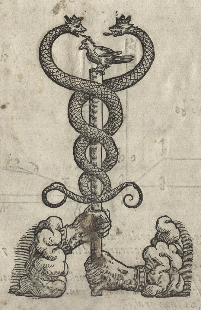 An illustration from La pratica della perspettiva : opera molto vtile a pittori, a scvltori, & ad architetti : con due tauole, una de' capitoli principali, l'altra delle cose piu notabili contenue nella presente opera, 1568, leaf 211